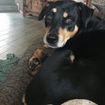 Profile Picture of Paul Whitby (@pww20023) on Instagram