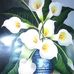 Profile Picture of Lupe Ibarra (@lupe.ibarra.9421) on Facebook