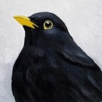 Profile Picture of Jordan Edgar (@jordan-edgar) on Quora