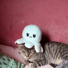 user5571802467061 - Tiktok Profile Picture of user5571802467061 (@lemiranda09) on Tiktok