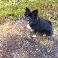 Profile Picture of Sonja Jacobsen (@sonjak1956) on Pinterest