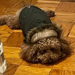 Cory Timmerman - Instagram Profile Picture of Cory Timmerman (@corytimmerman) on Instagram