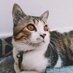 Profile Picture of Hữu Tăng (Huta Real) (@HutaReal) on Twitter