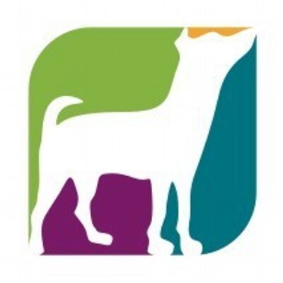 Profile Picture of Sthefânia Muccilli (@reabilitadog) on Twitter