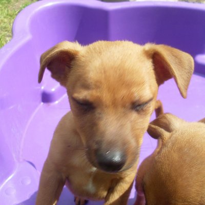 Profile Picture of David Margo (@MargoDLFerrari) on Twitter