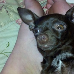 Profile Picture of Scott Latham (@147897058) on Myspace