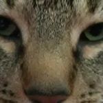 Profile Picture of brian bowling (@bowling8066) on Instagram