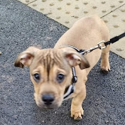 Profile Picture of Gemma Britton (@gemmabritton4037) on Youtube