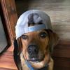 Profile Picture of Jimmy Maskill (@@jok3sss4) on Tiktok