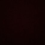 Profile Picture of Carly Haynes (@carly.haynes.1) on Instagram