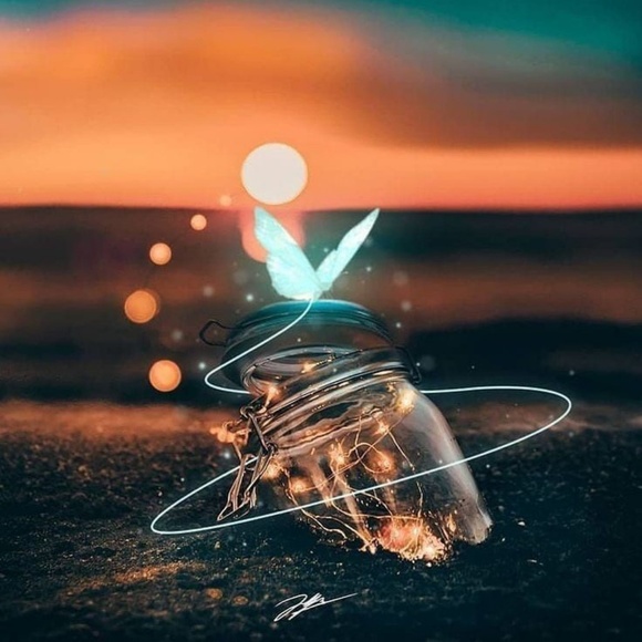 Profile Picture of Ancilla Fernandis (@fernandes625) on Poshmark