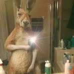 Profile Picture of Hubert Lavan (@hubert.lavan) on Facebook