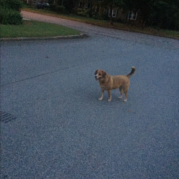 Profile Picture of Dale Bashuk (@daleb15) on Poshmark