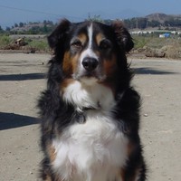 Profile Picture of Raymond Forrest (@raymond-forrest-5) on Quora