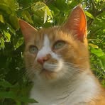 Profile Picture of Alexander Herold (@alexander.herold.37) on Facebook