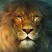 Profile Picture of Dawn Cornwall (@se_devon) on Pinterest