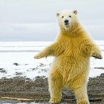 Profile Picture of 24 years old (@jasonajmom) on Instagram