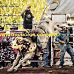 Brodiehowell - Instagram Profile Picture of Brodiehowell (@brodie_howell) on Instagram