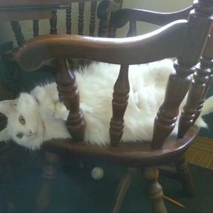 Profile Picture of Diane Tackett (@ditackett) on Myspace