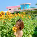 Profile Picture of Minh Tâm Nguyễn (@minhtamnguyen105) on Instagram
