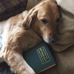 Profile Picture of Adam Housley (@adamhousley14) on Instagram