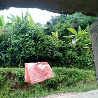 Profile Picture of Daniel Bargas (@daniel.bargas.737001) on Facebook