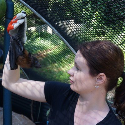 Profile Picture of Micaela Jemison (@bat_whisperer) on Twitter