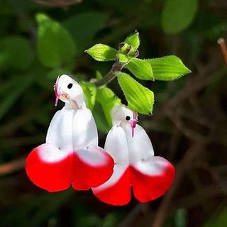 Profile Picture of Anil Pande (@anil.pande.925) on Facebook