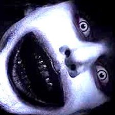 Profile Picture of Lora Hopkins (@LoraHop15295548) on Twitter