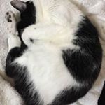 Profile Picture of Brian C. Bock (@bock.brian) on Instagram
