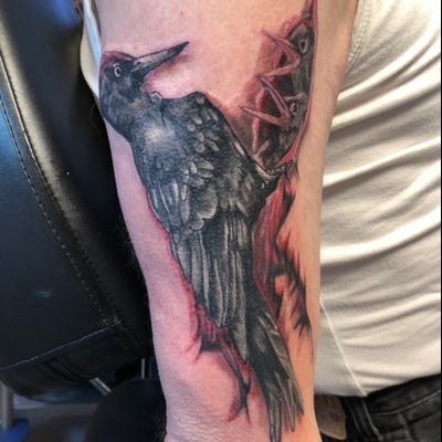 Profile Picture of Joe Van Bommel (@JoeBommel) on Twitter