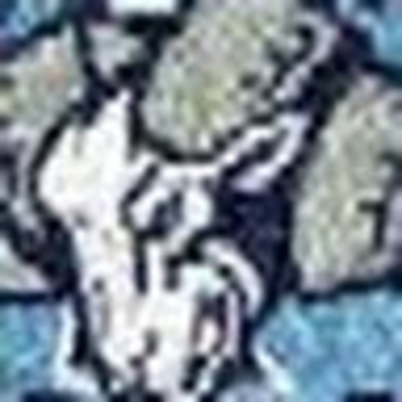 Profile Picture of Jesse Woods (@lordwoods20) on Poshmark