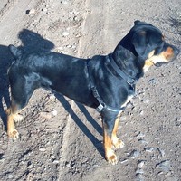 Profile Picture of Jason Philbrick (@jason-philbrick-1) on Quora