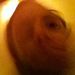 Profile Picture of Jason Hofacker (@ariyatsu) on Pinterest