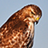 Profile Picture of John Prior (@John Prior 55) on Flickr