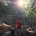 Profile Picture of Maureen Meehan (@maureen.meehan.7393) on Facebook