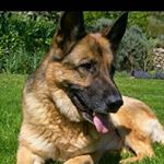 Profile Picture of joy_oconnell10 (@joy_oconnell10) on Instagram