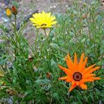 ava_austinsc - Instagram Profile Picture of ava_austinsc (@ava_austinsc) on Instagram