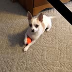 Profile Picture of Doris Hildreth (@doris.hildreth.39) on Facebook