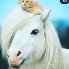 Profile Picture of   user6592159848409... (@mumi606) on Tiktok