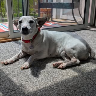 Profile Picture of Kate Lehman (@kate.lehman) on Instagram