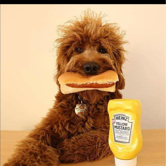 Profile Picture of Jim Greene (@greene365) on Poshmark