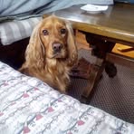 Profile Picture of Robert Mieszkowski (@robert.mieszkowski.18) on Facebook