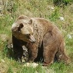 Robert Hutzler - Instagram Profile Picture of Robert Hutzler (@hutzlerrobert) on Instagram