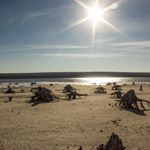 Profile Picture of Bradway (@bradwayrudolfih) on Instagram