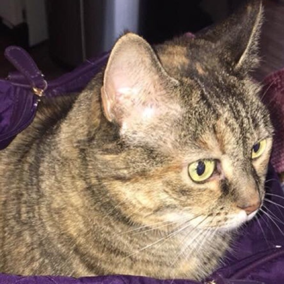 Profile Picture of Mary ann Rupp (@wormy76) on Poshmark