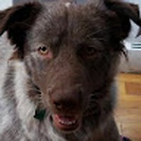 Profile Picture of Nicholas Doty (@nicholas-doty-2) on Quora