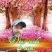 Profile Picture of Evan Rocha (@evan.rocha.942) on Facebook
