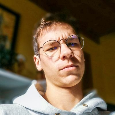 Profile Picture of Péter Lukács (@PterLukcs1) on Twitter