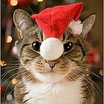 Profile Picture of Pyxelmajick (@pyxelmajick) on Flickr